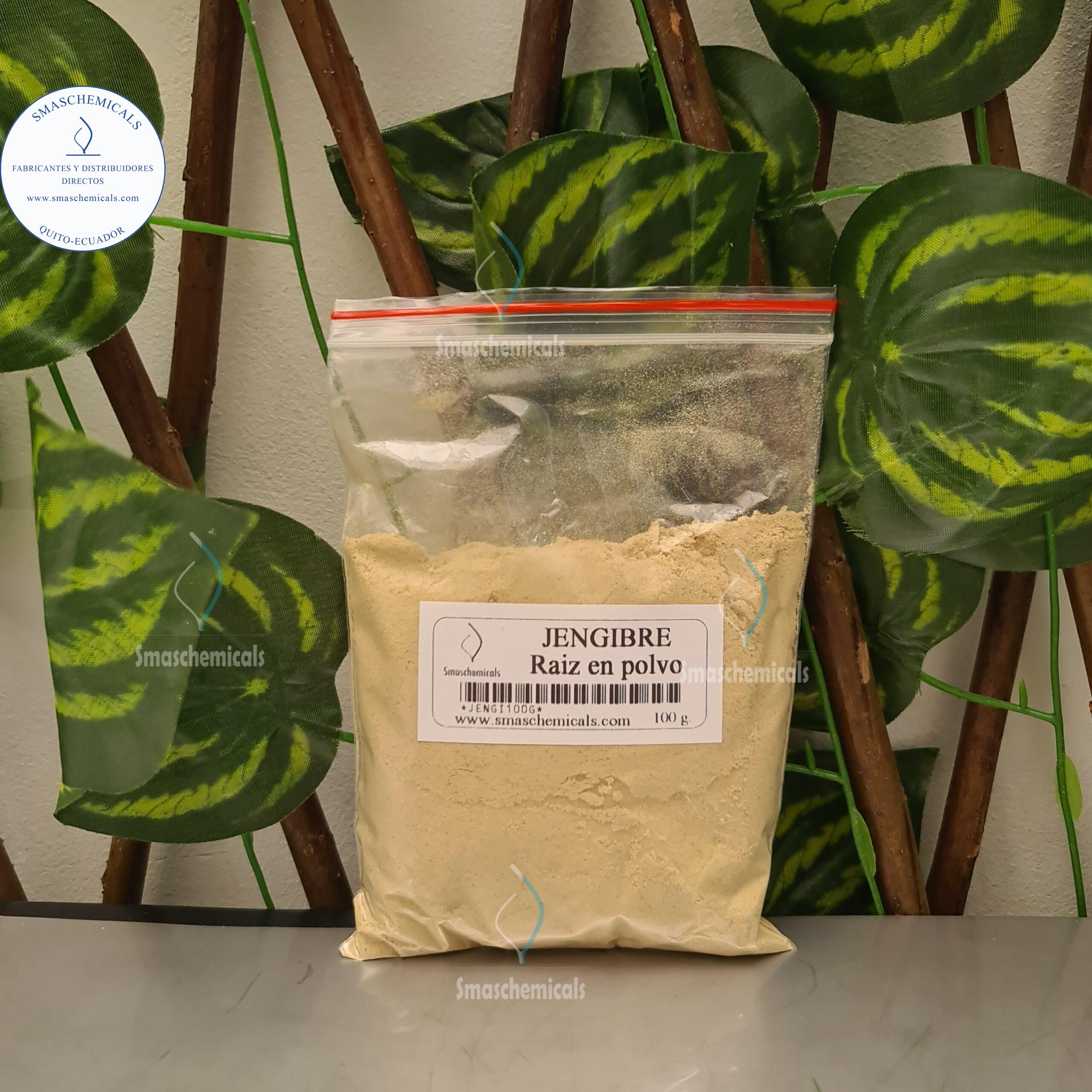 Jengibre en polvo 100g