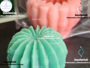 Molde suculenta cactus redondo M332