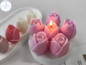 MOLDE de Tulipán E112