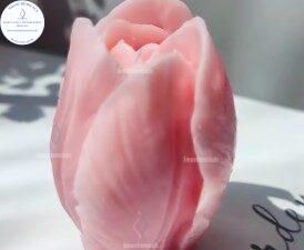 MOLDE de Tulipán E115