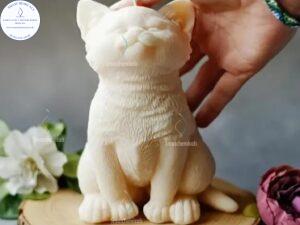 MOLDES de Gato 3D M760