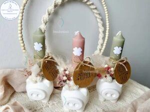 MOLDES de Cerdo M769