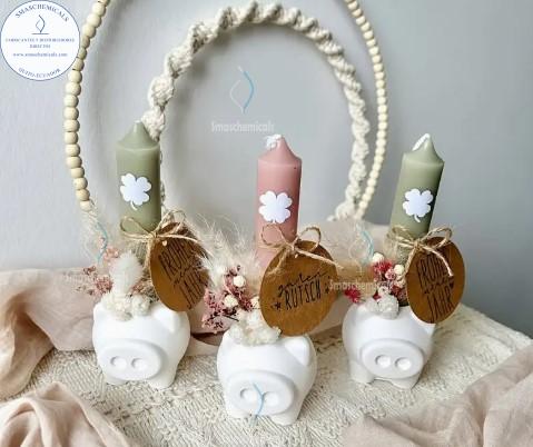 MOLDES de Cerdo M769