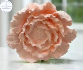 MOLDE de Peonia W535